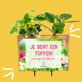 Bloomsbox Mini