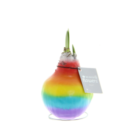 No Water Flowers – Waxz Rainbow
