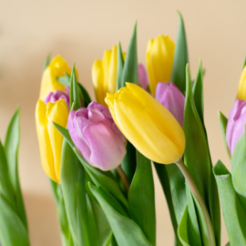 BloomsBox met tulpen