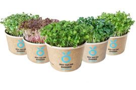 GROWN CRESS, KWEEK CUP