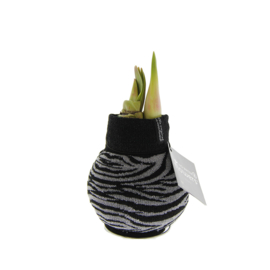 No Water Flowers – Fashionz Animal