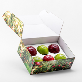 Geschenkverpakking Met 6 Appels