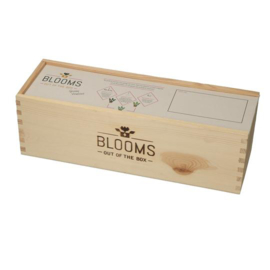 BloomsBox met 3 luchtzuiverende planten