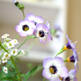 Small Seed Paper Bookmark