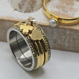 ixxxi ring compleet maat 21 nummer 25-300
