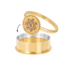Vulring Midnight  Tanzanite Goud
