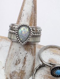 ixxxi ring compleet, maat 17