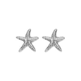 Ear studs sea star