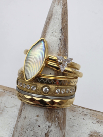ixxxi ring compleet, maat 17