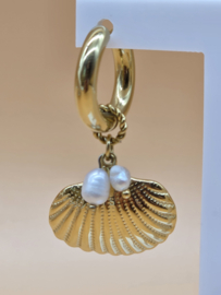 Creolen met bedel schelp, en zoetwaterparels