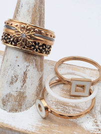 ixxxi ring compleet, maat 17
