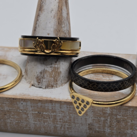 ixxxi ringen set compleet maat 20.5 en 8 mm breed 25-303