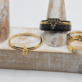 ixxxi ringen set compleet maat 20.5 en 8 mm breed 25-303