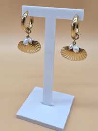 Creolen met bedel schelp, en zoetwaterparels