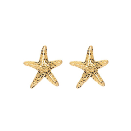 Ear studs sea star