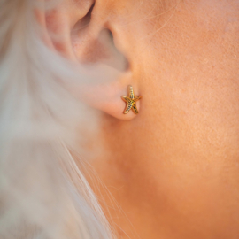 Ear studs sea star
