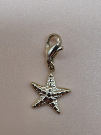 RVS charm, zeester. Goud.