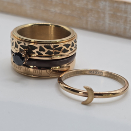 ixxxi ring compleet maat 20, 25-79