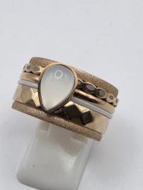 ixxxi ring compleet, maat 19 met limited edition basisring.
