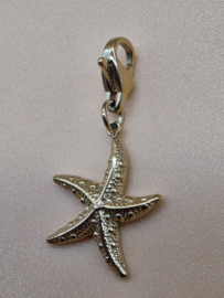 RVS charm, zeester. Goud.