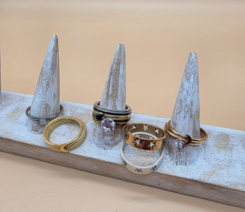 ixxxi ringen set compleet maat 19. 1 basis en 11 vulringen. 20266