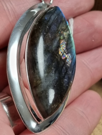 Zilver hanger Labradoriet