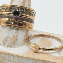 ixxxi ring compleet maat 20, 25-79