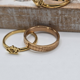 ixxxi ringen set compleet maat 17. 1 basis en 11 vulringen. 25-322