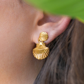Ear studs shell