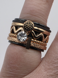 ixxxi ring compleet, maat 17