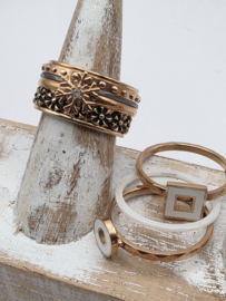ixxxi ring compleet, maat 17