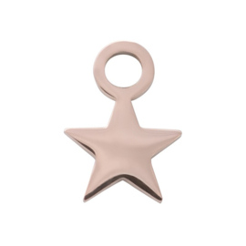 Charm Kleine ster