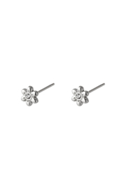 Roestvrijstalen Oorsteker Bloem zilver Kleur Stainless Steel