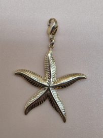 RVS charm, Zeester. Goud.