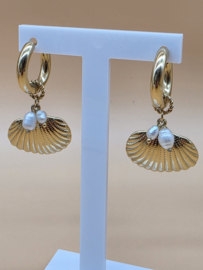 Creolen met bedel schelp, en zoetwaterparels