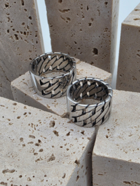 ixxxi single ringen