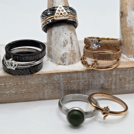ixxxi ringen set compleet maat 17. 1 basis en 11 vulringen. 25-323