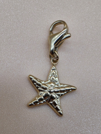 RVS charm, zeester. Goud.