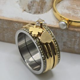 ixxxi ring compleet maat 21 nummer 25-300