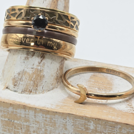 ixxxi ring compleet maat 20, 25-79