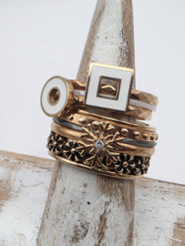 ixxxi ring compleet, maat 17