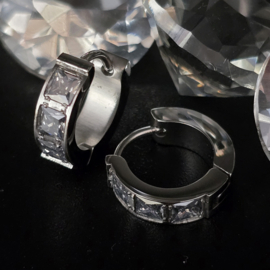 Oorringen Brillia Black Diamond