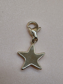 RVS charm, zeester. Goud.