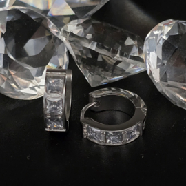 Oorringen Brillia Black Diamond