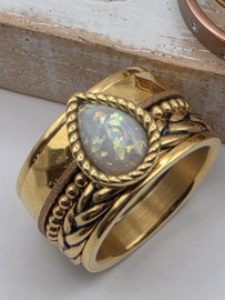 ixxxi ring compleet, maat 20