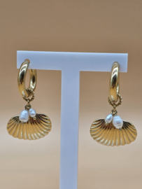 Creolen met bedel schelp, en zoetwaterparels