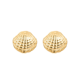 Ear studs shell