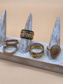 ixxxi ringen set compleet maat 17. 1 basis en 10 vulringen. 25-325