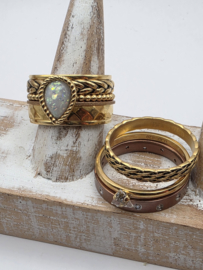 ixxxi ring compleet, maat 20