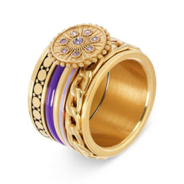 Vulring Midnight  Tanzanite Goud